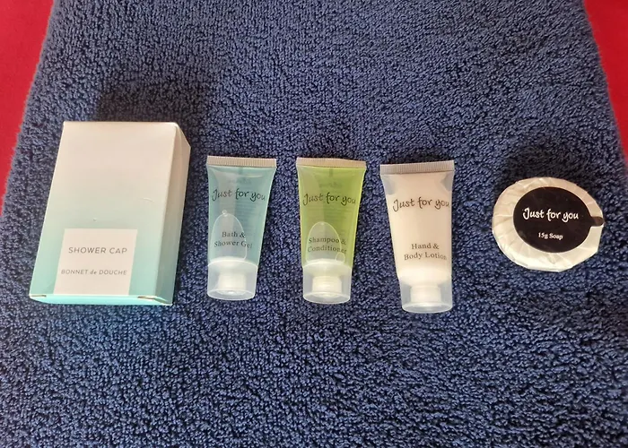 Clifton Nr Centre, Georgian Period Flat, Permit Parking X1, Garden